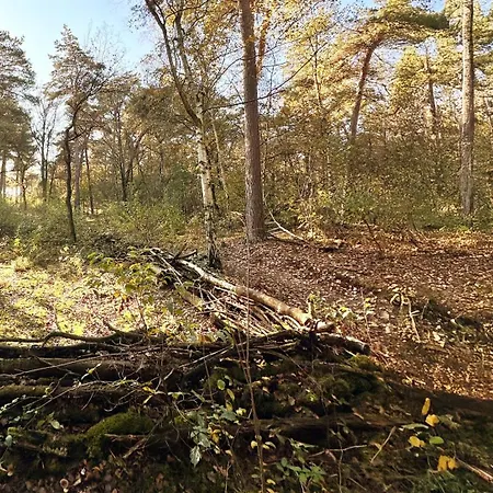 Wellness Tuin - Ultieme Partner Beleving - St Hubertus Met Jacuzzi ,openhaard, Prive Hottub En Prive Sauna In Jachthut Stijl Lodge Horst
