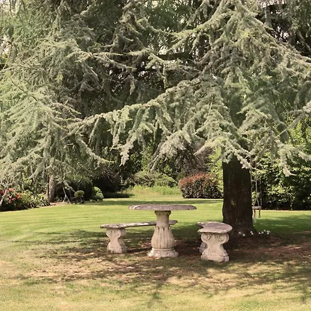 Wellness Tuin - Ultieme Partner Beleving - St Hubertus Met Indoor Jacuzzi, Openhaard, Prive Hottub En Prive Sauna In Jachthut Stijl - Gratis Fles Prosecco & Leuke Partner Connect Box !