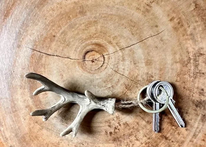 بيت خشبي Wellness Tuin - Ultieme Partner Beleving - St Hubertus Met Indoor Jacuzzi, Openhaard, Prive Hottub En Prive Sauna In Jachthut Stijl - Gratis Fles Prosecco & Leuke Partner Connect Box !